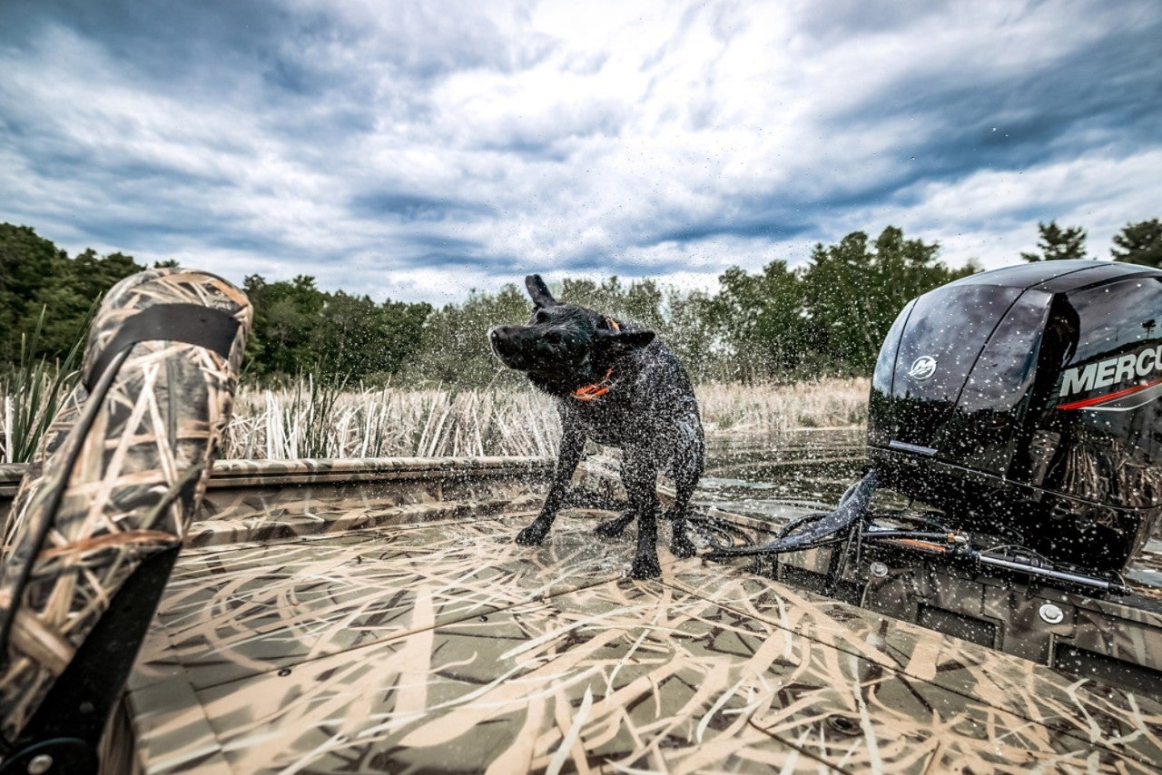 Lund Boat's 2070 Predator