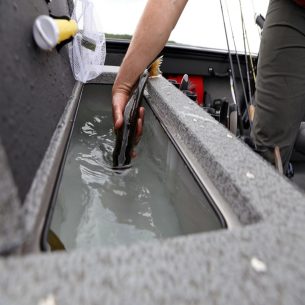 Fisherman%20Livewell%20Fish%20Drop-In
