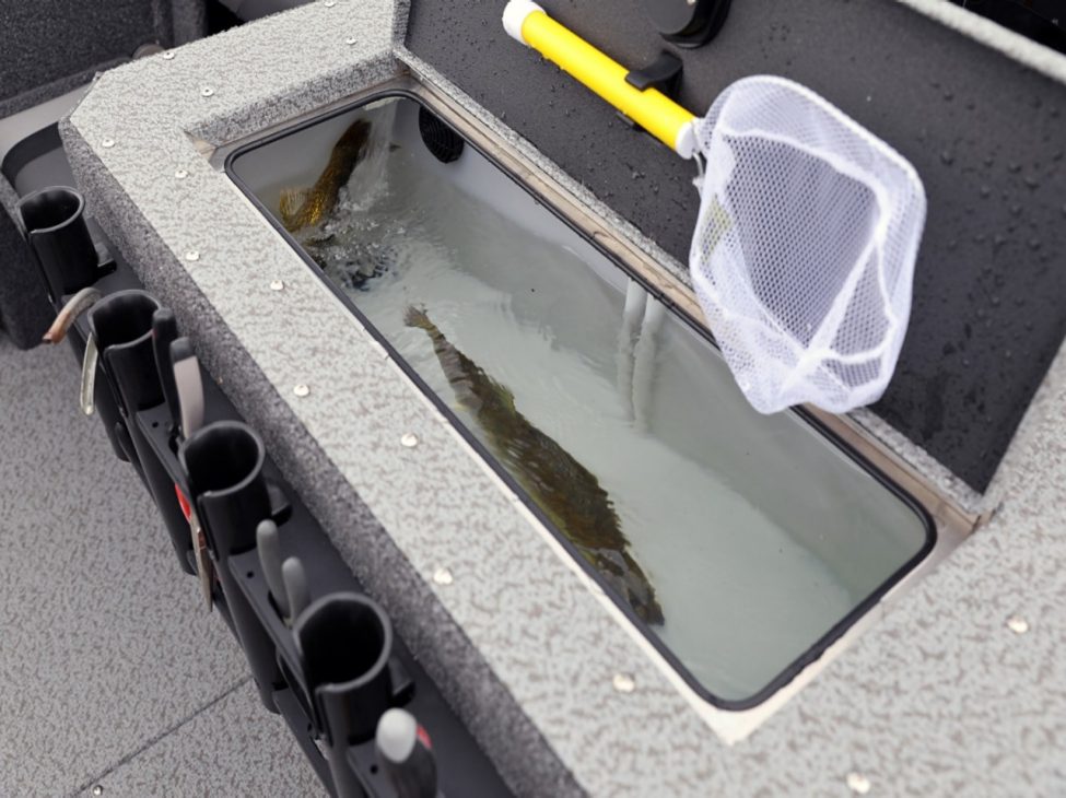 Fisherman%20Livewell